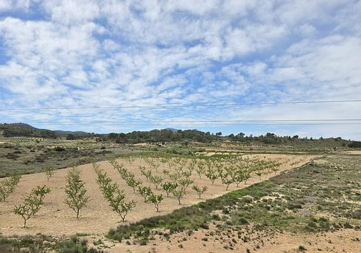 Land in Jumilla