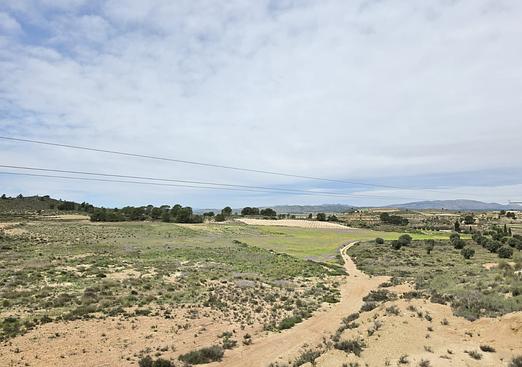 Land in Jumilla