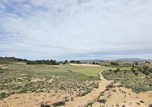 Land in Jumilla