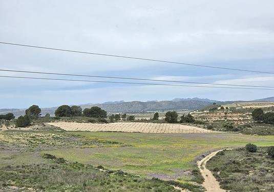 Land in Jumilla