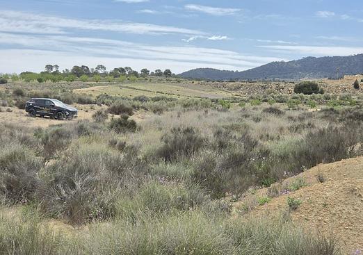 Land in Jumilla