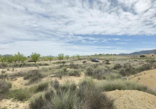 Land in Jumilla