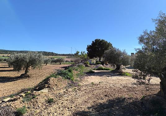 Property in Yecla