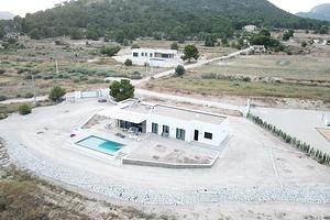 thumb 19