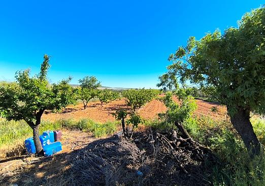 Property in Yecla