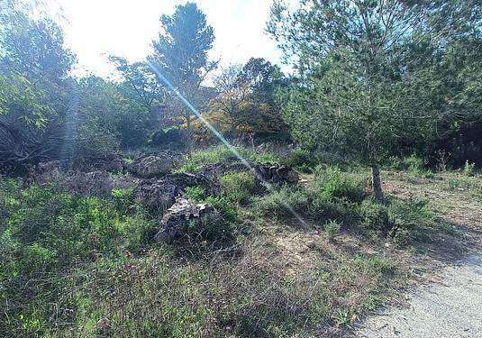 Finca in Gea Y Truyols