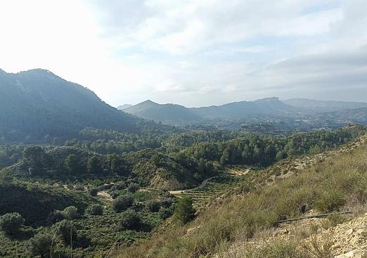 Finca in Gea Y Truyols