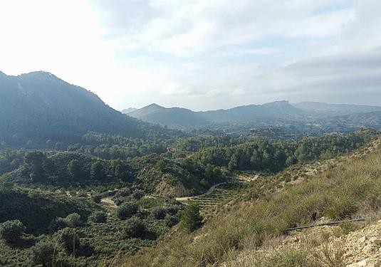 Finca in Gea Y Truyols