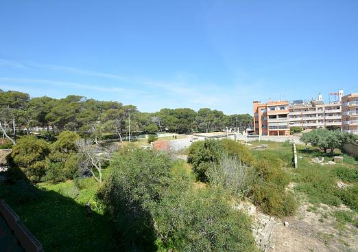 Apartment in Guardamar del Segura