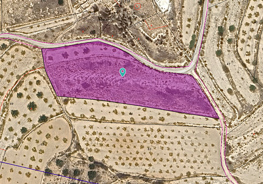Land in Yecla