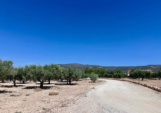 Land in Monóvar/Monóver