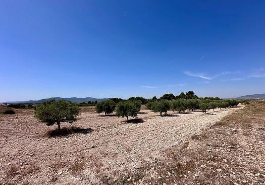 Land in Monóvar/Monóver