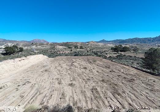 Land in Abanilla