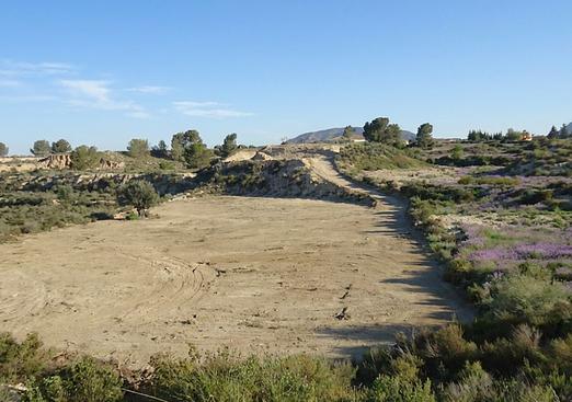 Land in Abanilla