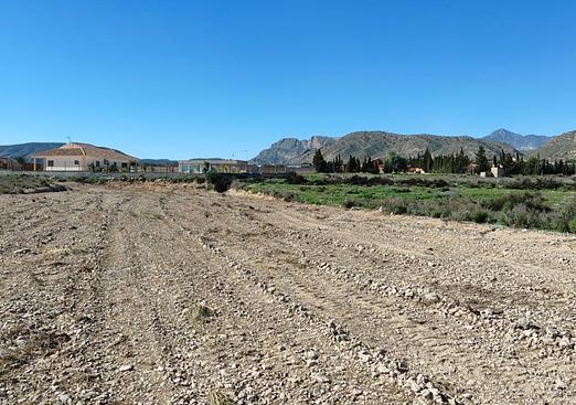 Land in Abanilla
