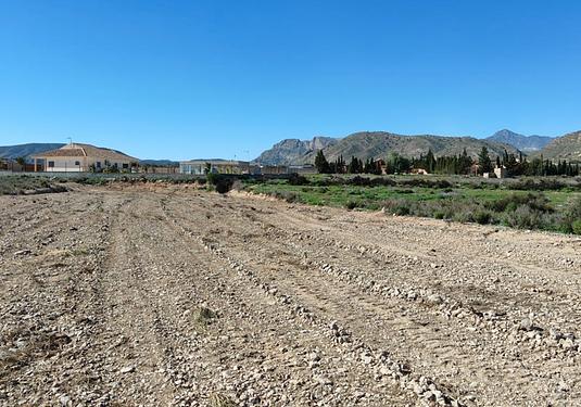 Land in Abanilla