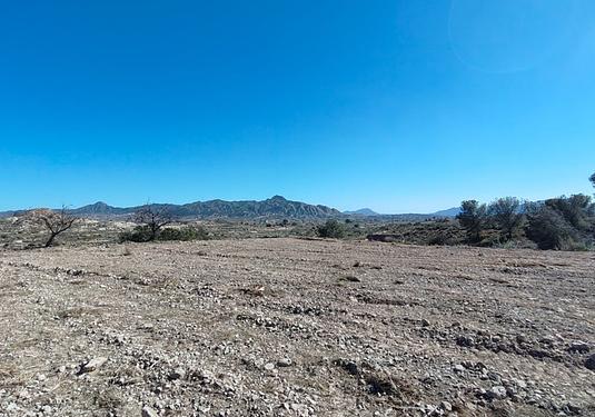 Land in Abanilla