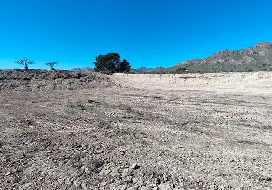 Land in Abanilla