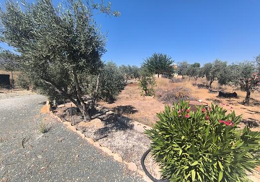 Country house in Pinoso