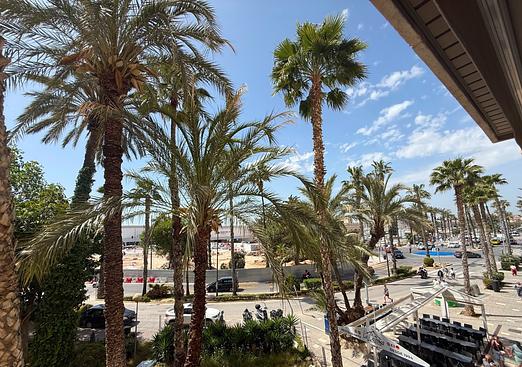 Apartment in Torrevieja