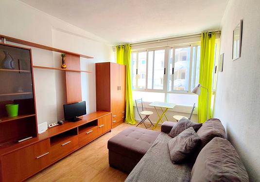 Apartment in La Mata
