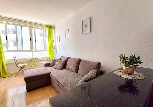 Apartment in La Mata