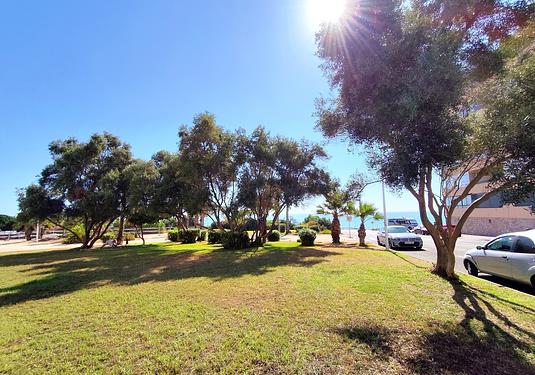 Apartment in La Mata