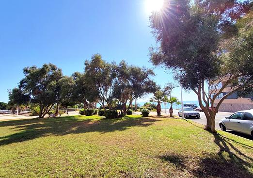 Apartment in Torrevieja