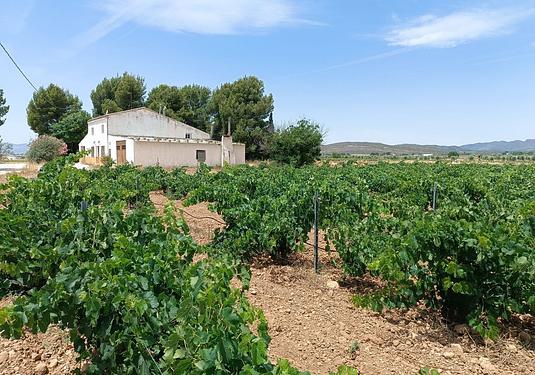 Property in Yecla