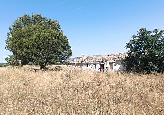 Other in Yecla