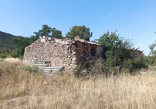 Other in Yecla