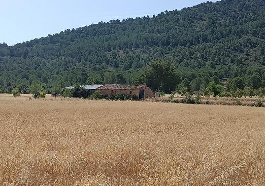 Other in Yecla