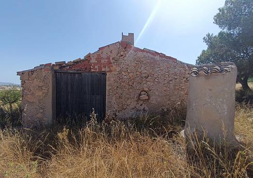 Other in Yecla