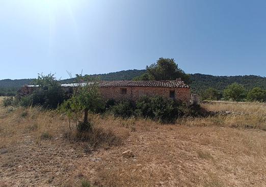 Other in Yecla