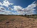 Land in Pinoso