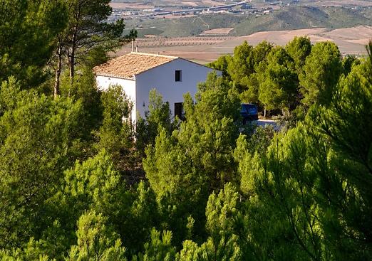 Property in Villena