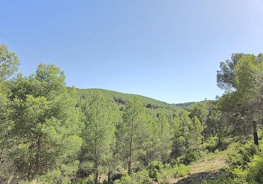 Property in Villena