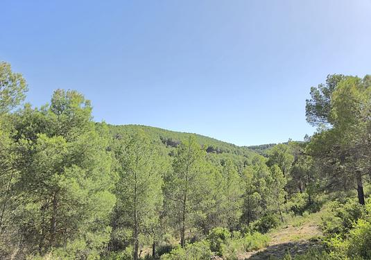 Property in Villena