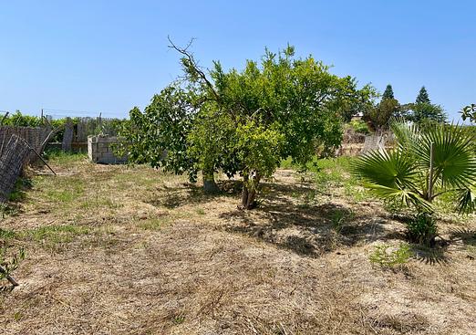 Villa in Daya Nueva