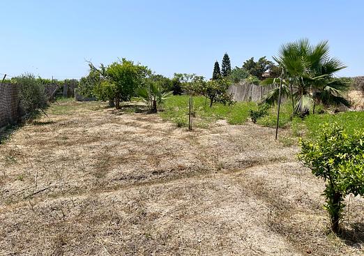Villa in Daya Nueva