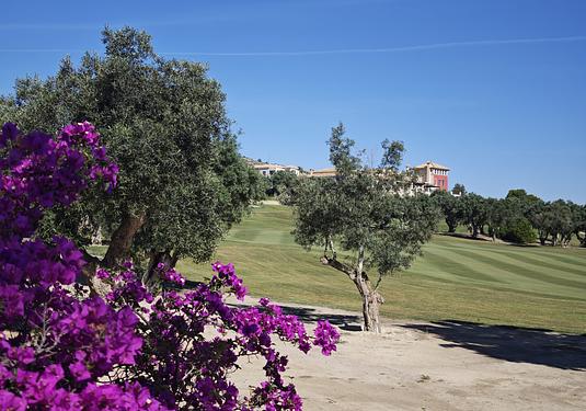 Villa in Algorfa