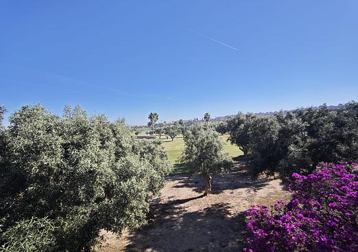 Villa in Algorfa