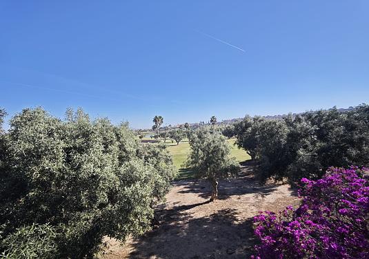 Villa in Algorfa