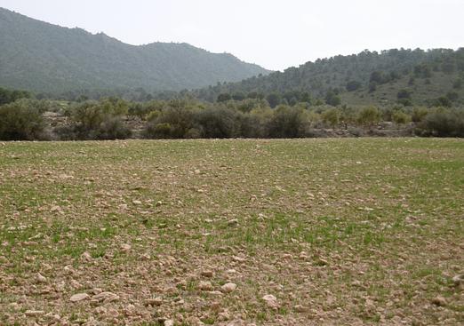 Land in Yecla