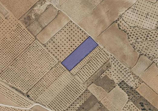 Land in Yecla