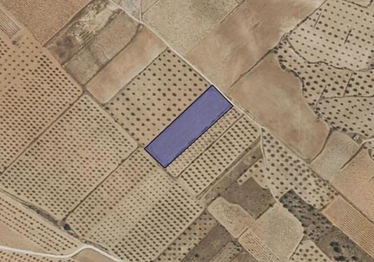 Land in Yecla