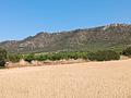 Land in Yecla