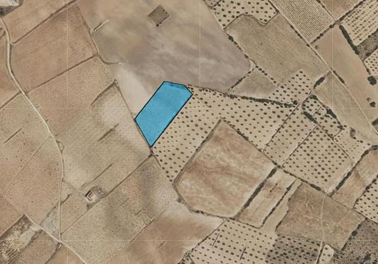 Land in Yecla