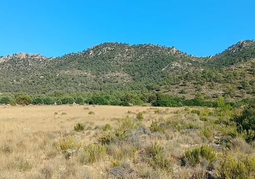 Land in Yecla