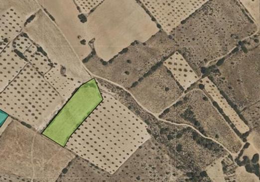 Land in Yecla